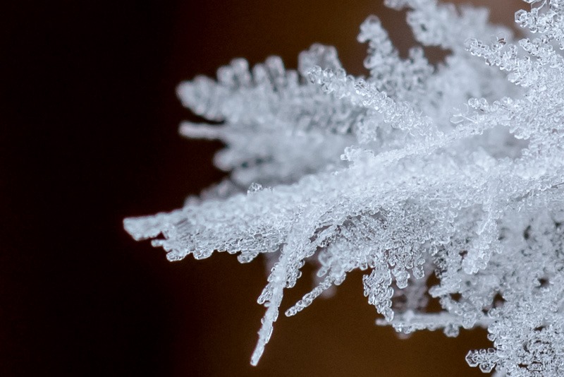 Ice crystals from hoar frost