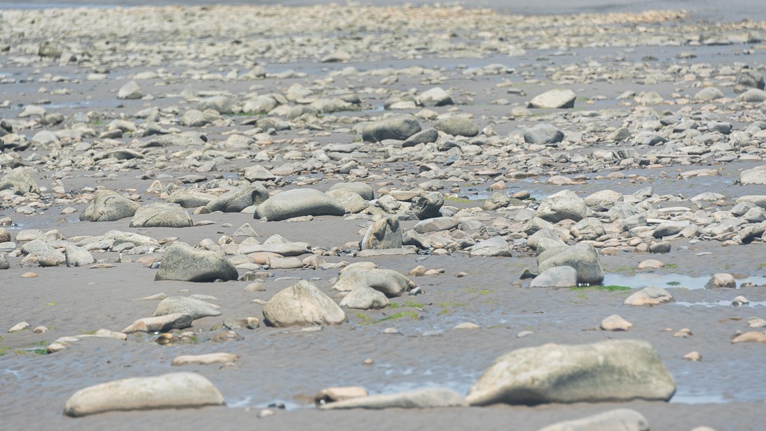Mars? No, Port Maitland Beach