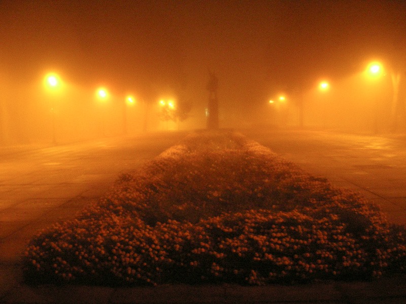 Lenin in the mist