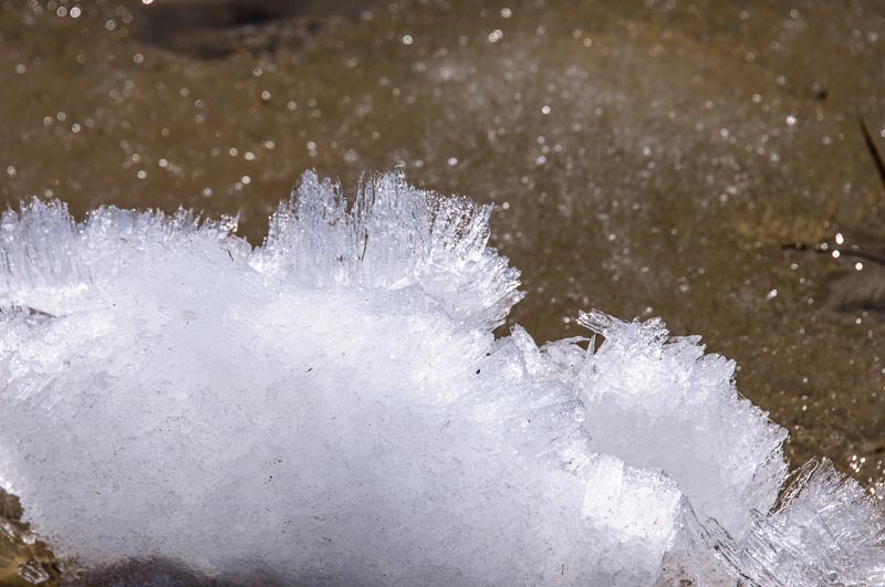 Ice crystals, still plentiful on the water
