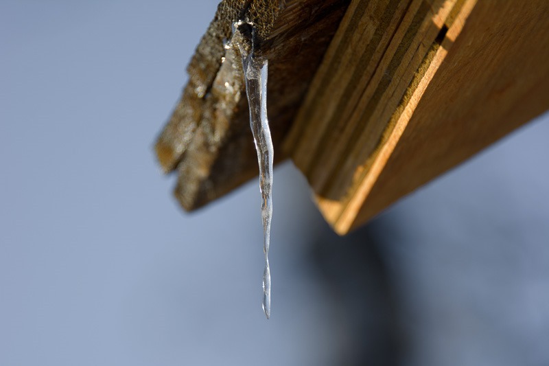 Lonely icicle