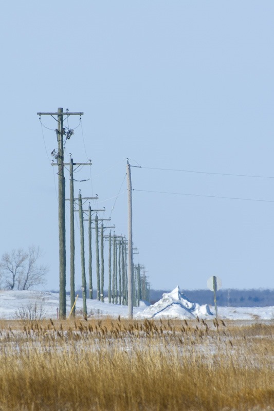 Crooked utility poles