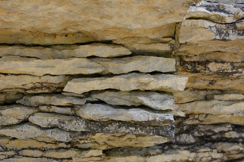 Layers of limestone rock, filled with fossils