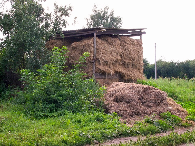 Authentic haystack