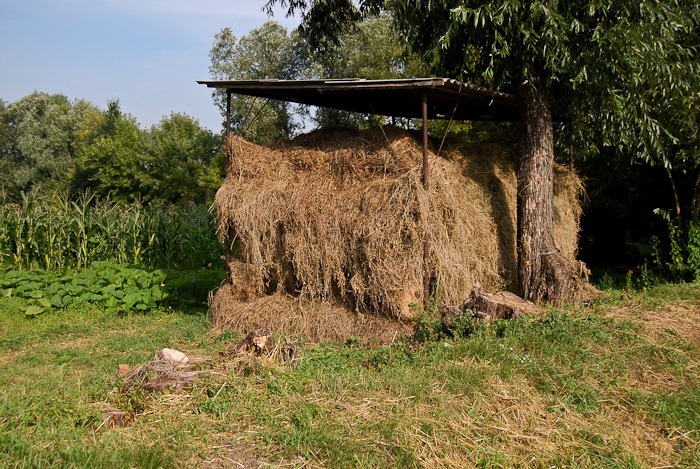 Old fashioned haystack