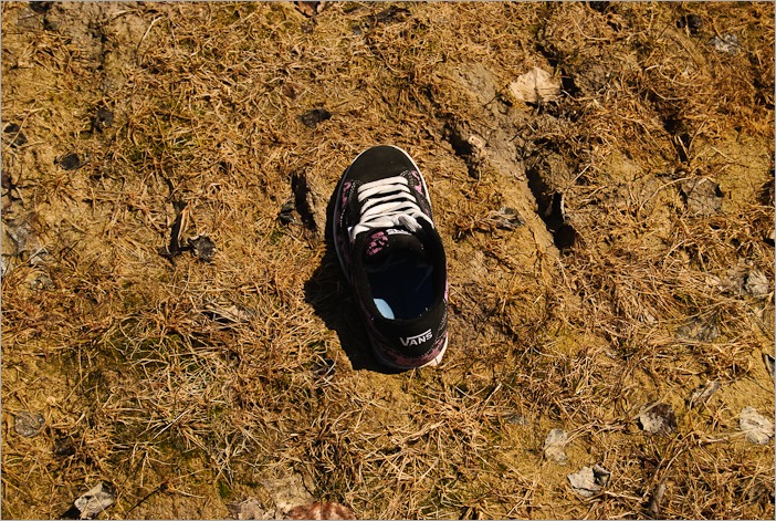 Left over shoe, stuck in the mud