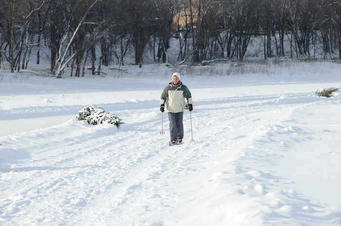 One brave cross-country skier