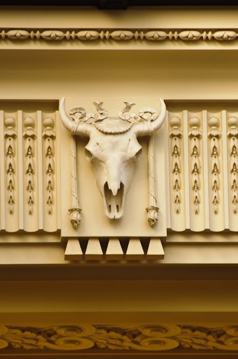 Cattle skulls for protection