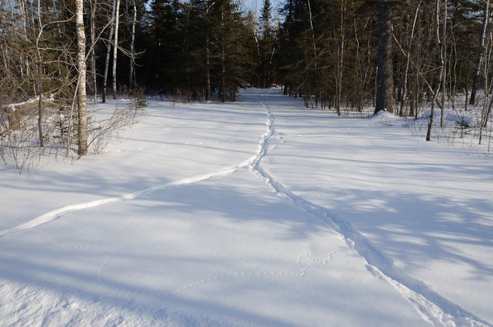 Ski trails?