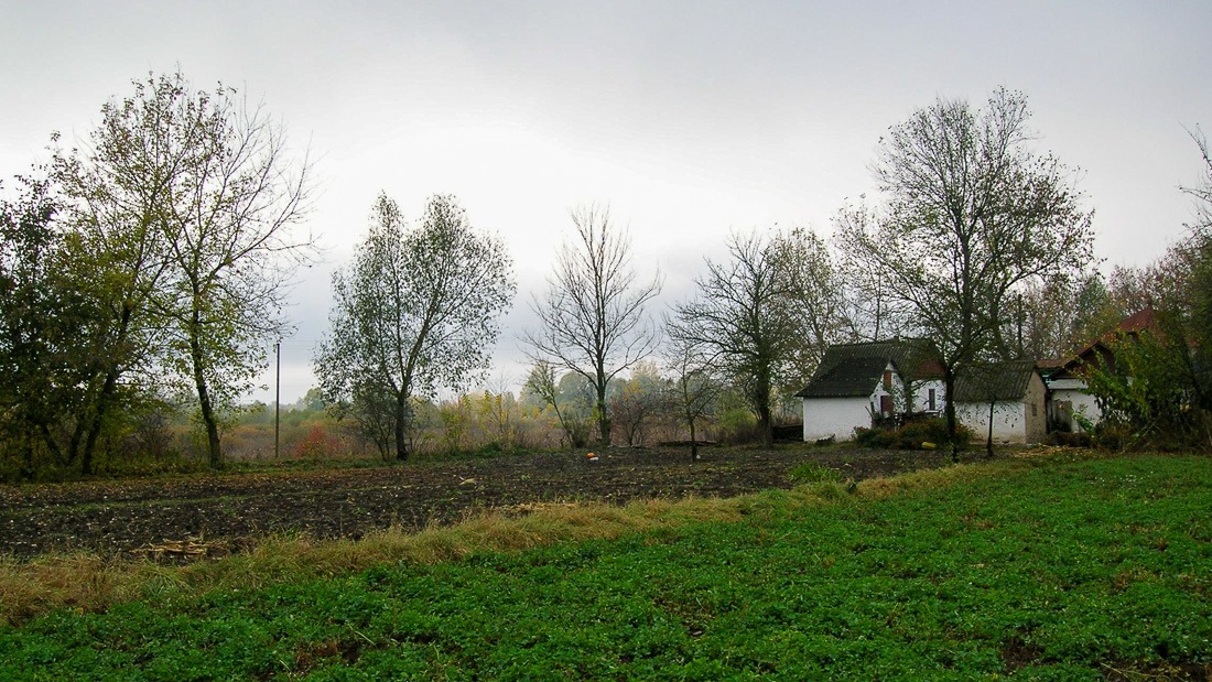 Farmhouse in Dubinka, Ukraine