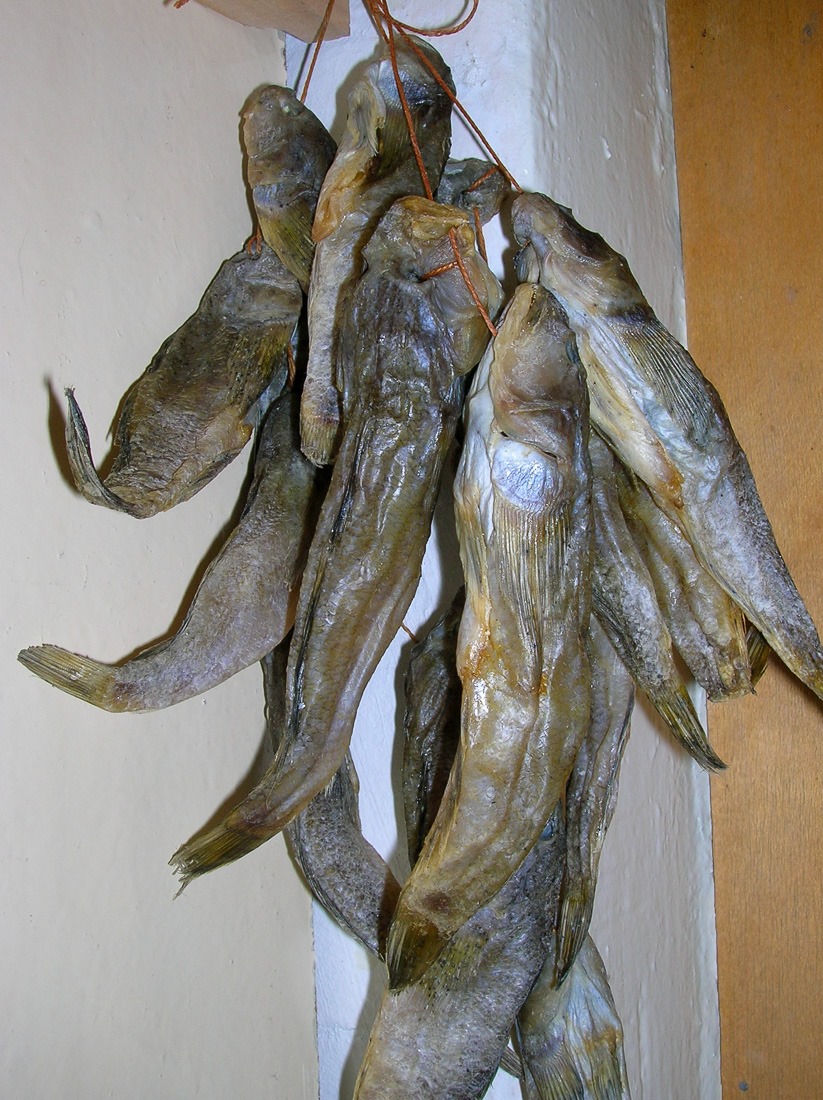 Salted Goby Fish