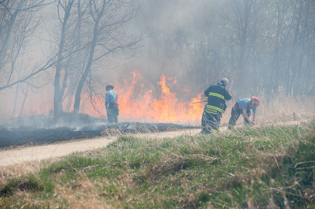 Fire in the Assiniboine Forest