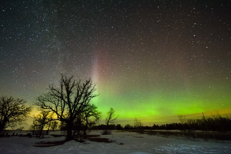 Modest Aurora show