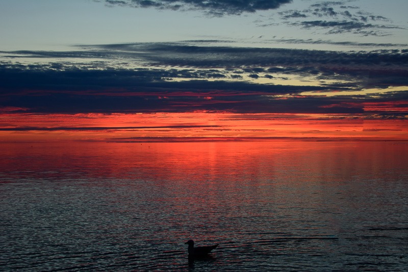 Sunrise over the lake