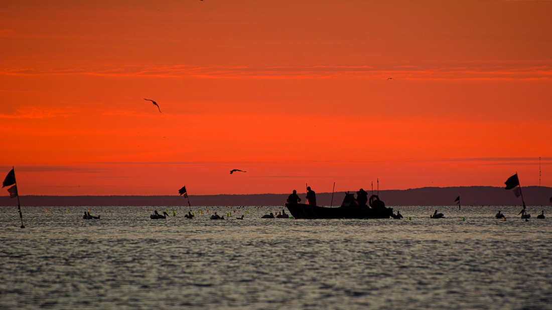 Fishing boats at sunrise