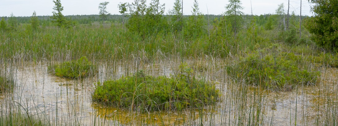 Brokenhead Wetlands, Manitoba