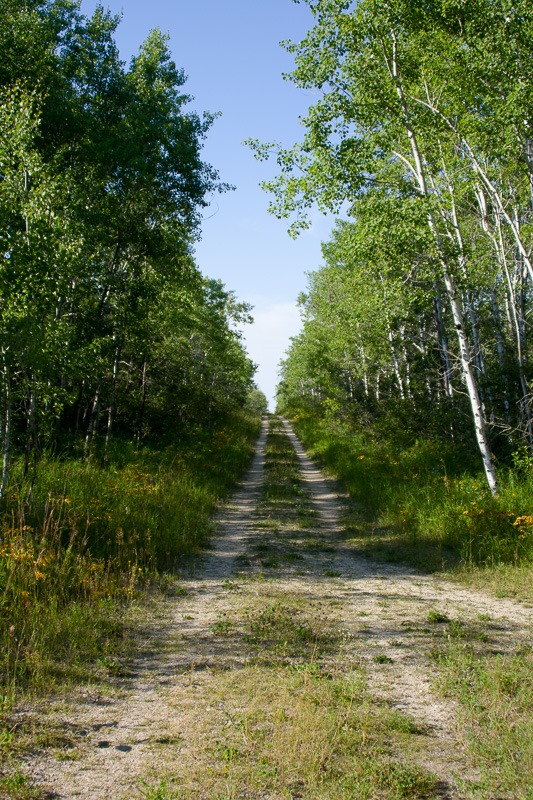 Seemingly endless trails