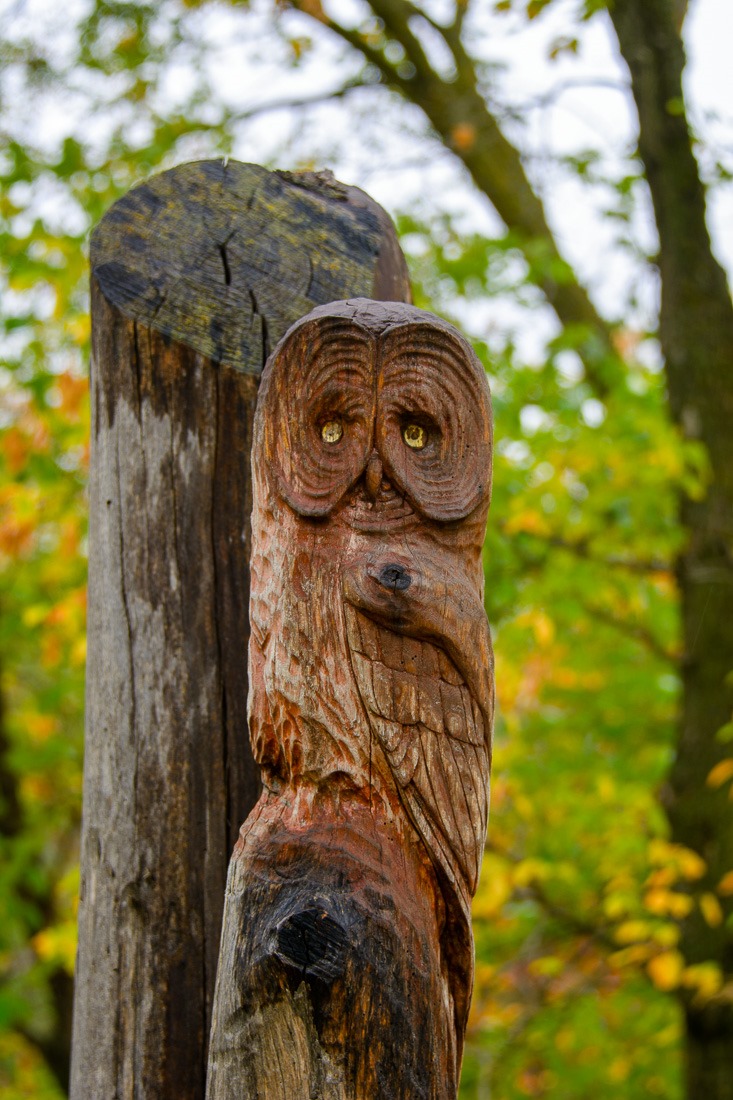 Great Grey Owl carving
