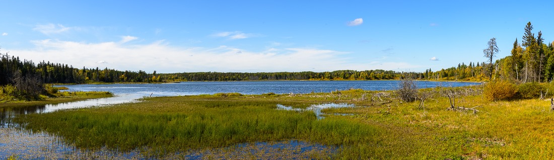 Shanty Lake