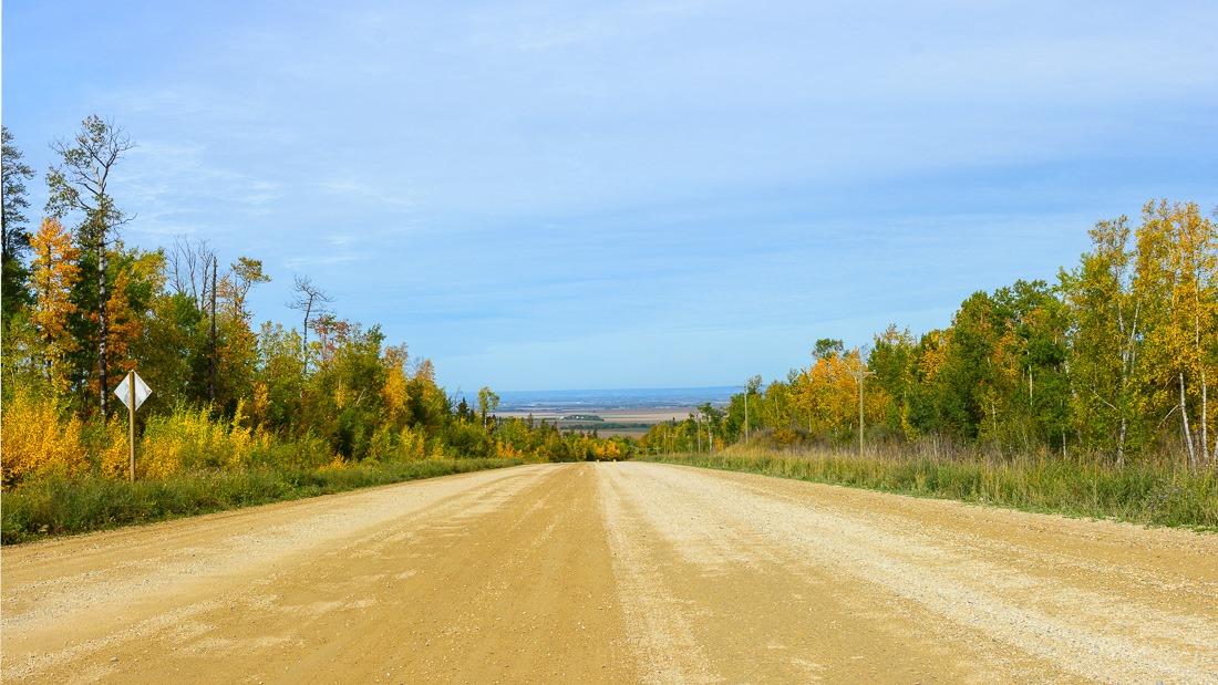 Duck road