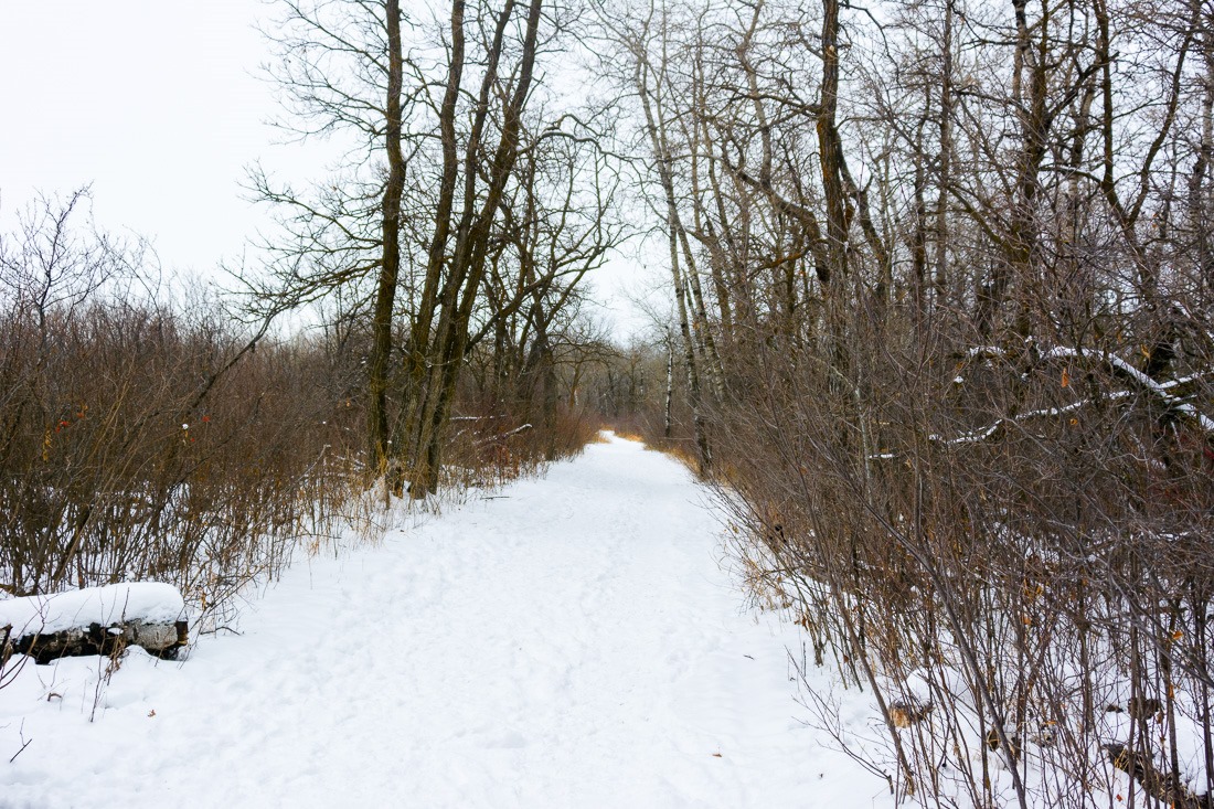 Birds Hill Park