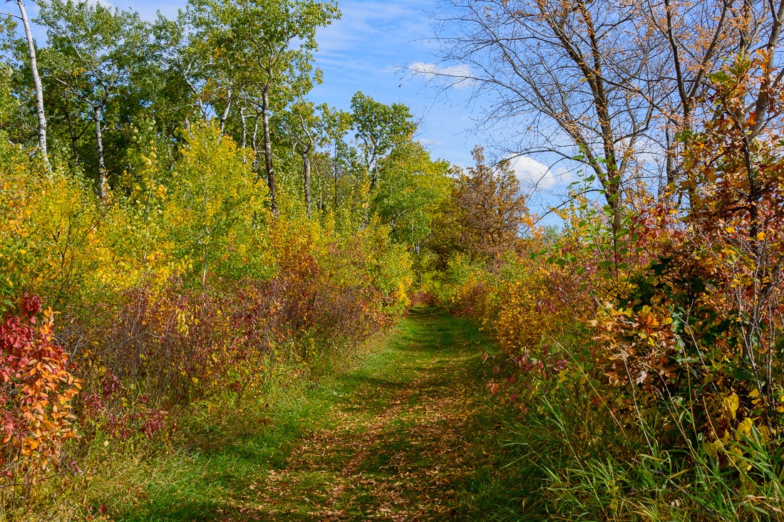 Birds Hill Park