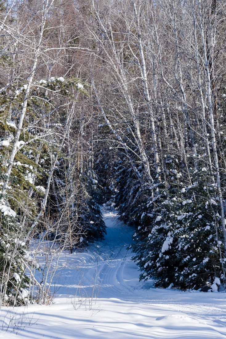 A trail into the wilderness