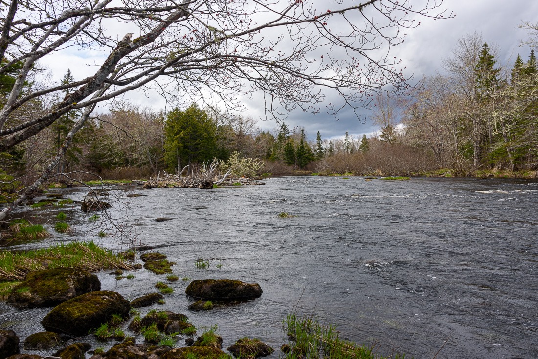 Musquodoboit Rapids