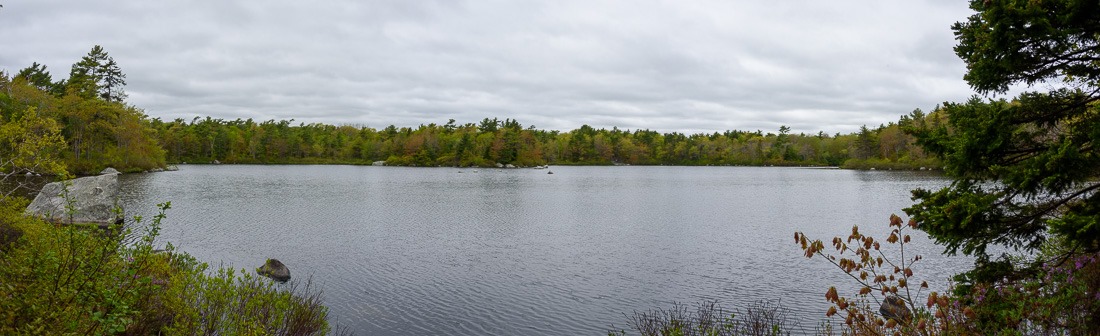 halma minnesota frog pond