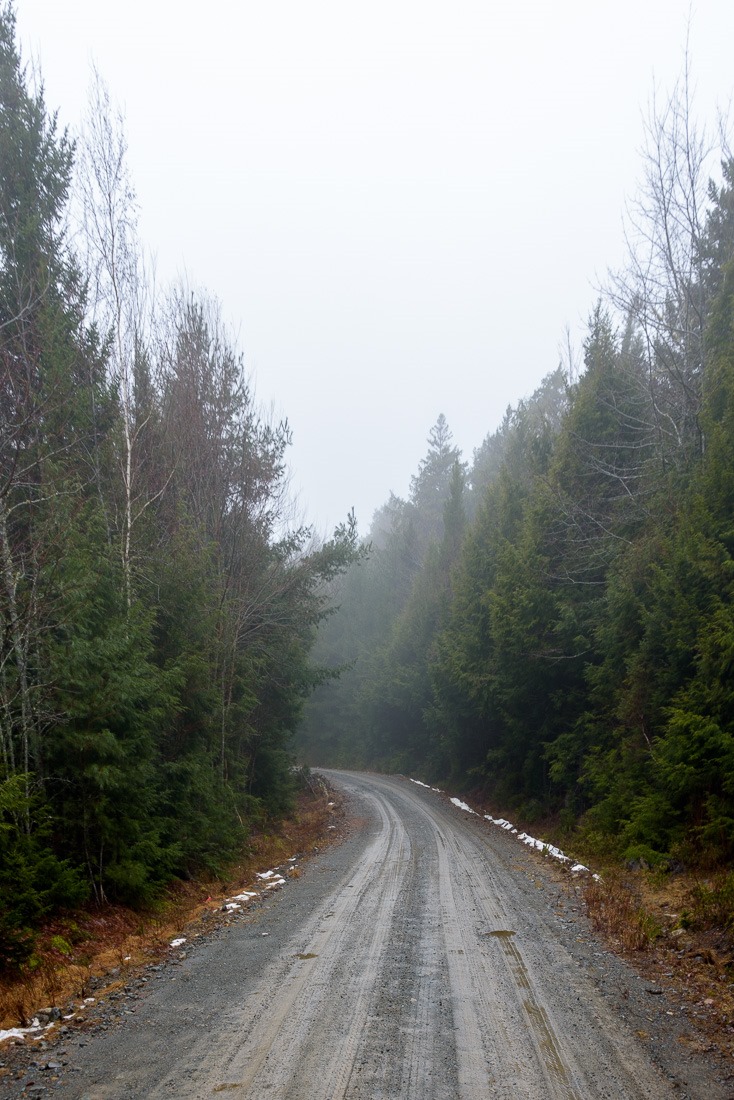 Mud road into nothing