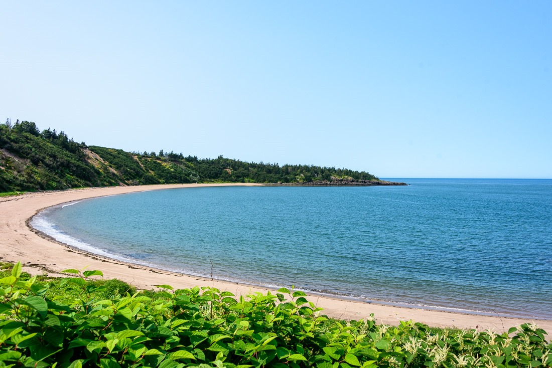 Sandy Cove Beach