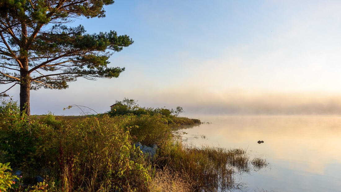 Early morning fog