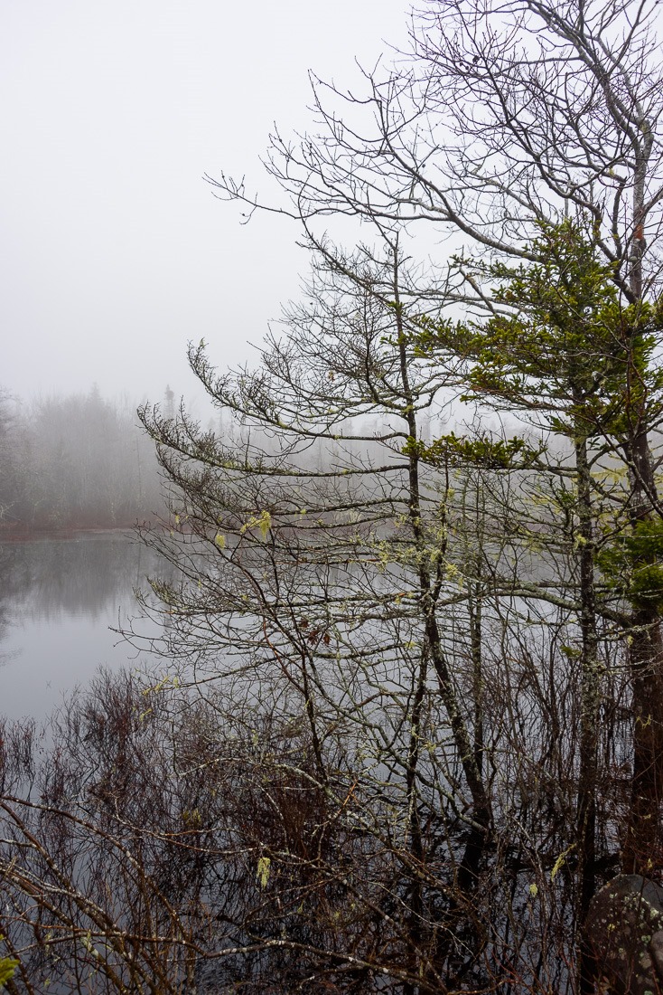 Rain and fog