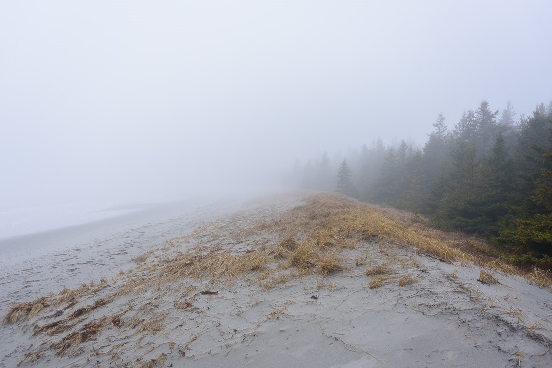 Beach Meadows Beach