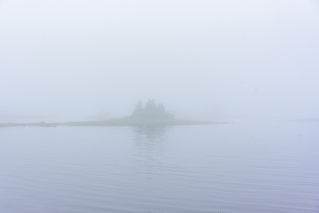 Western Head in the mist