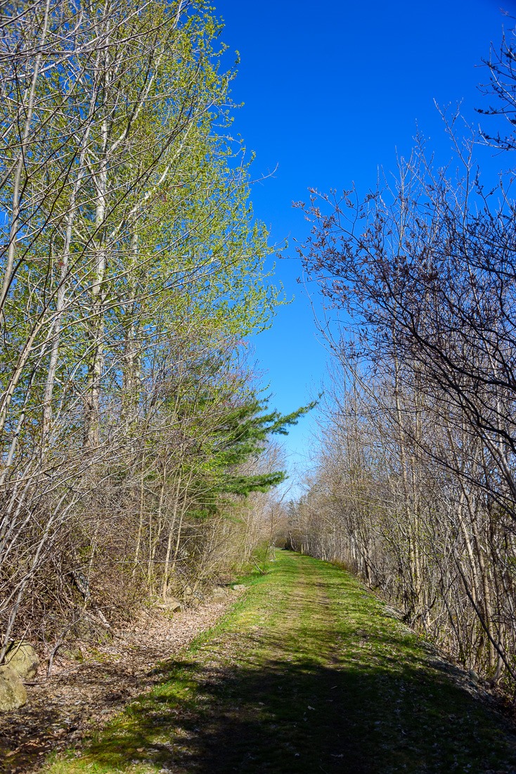 Liverpool Trestle Trail