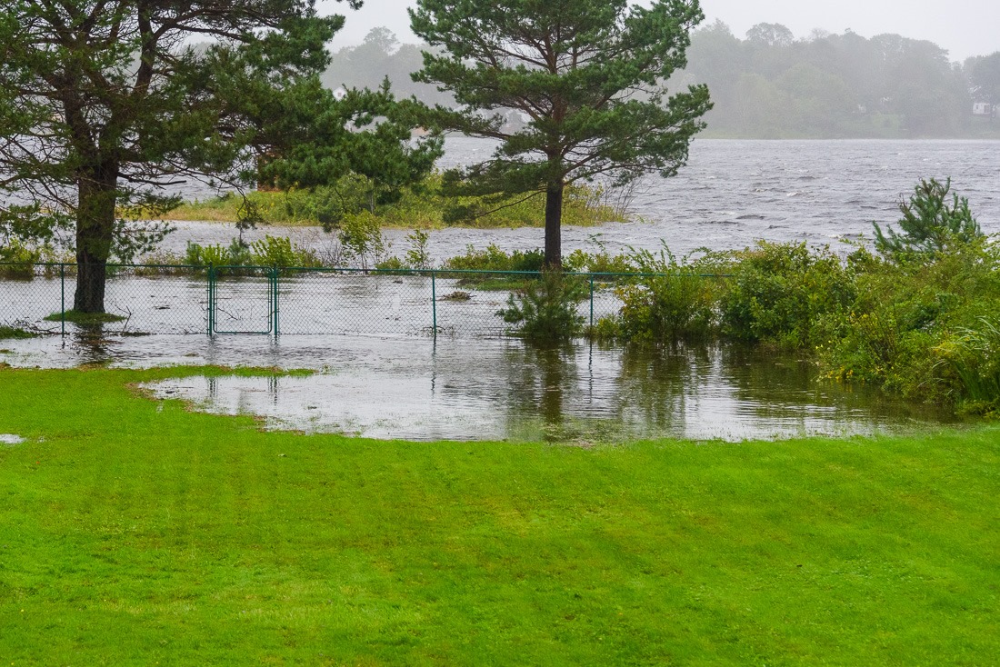 Backyard flooding