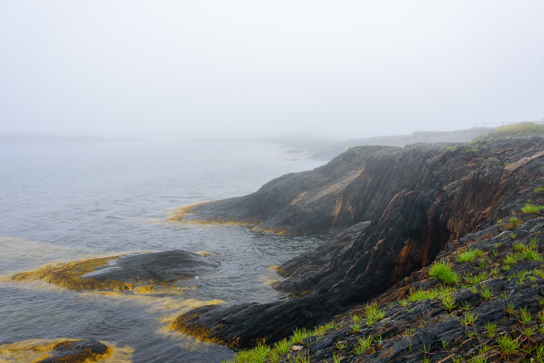 Misty coastline