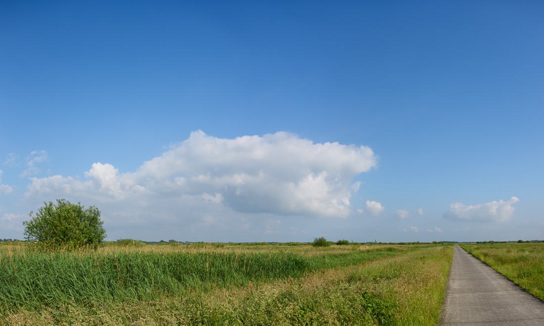 Flatlands