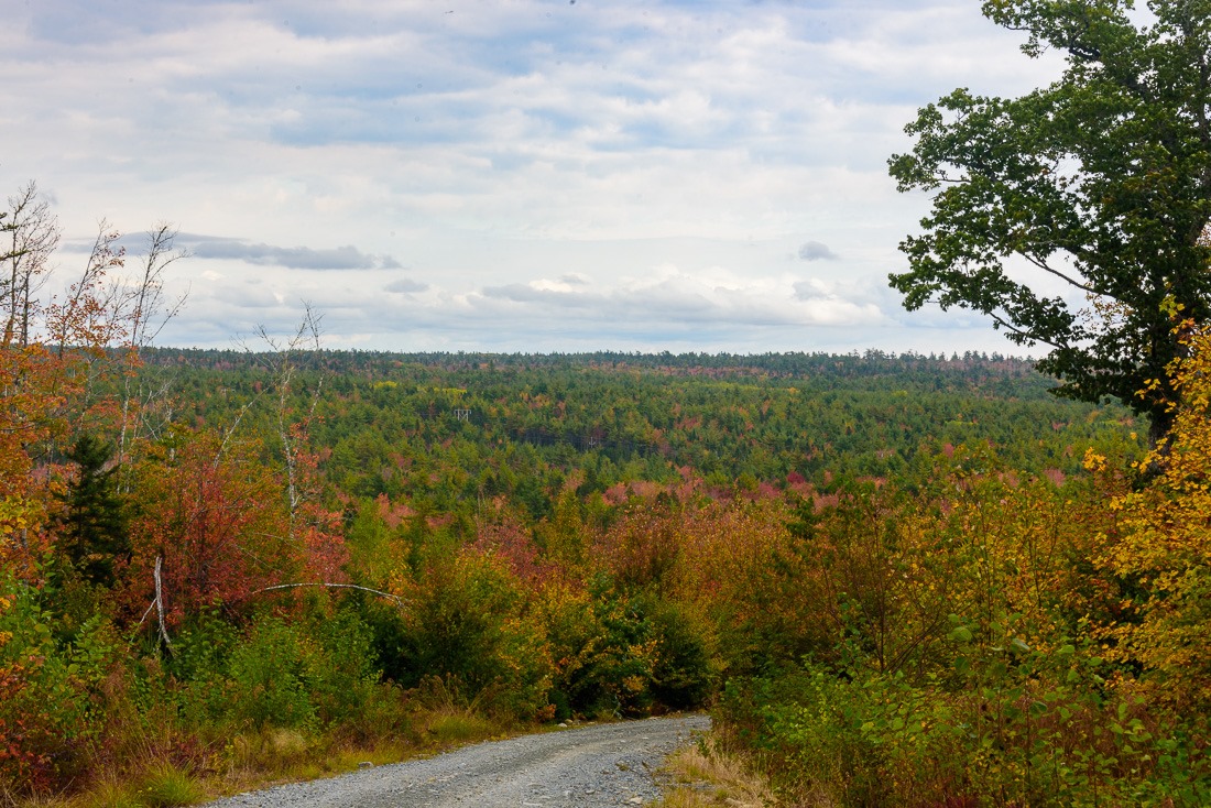 Colour as far as the eye can see and beyond