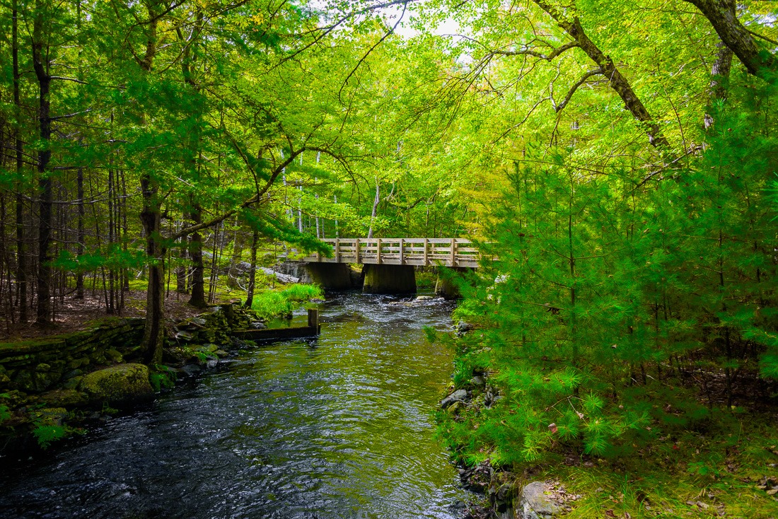 Tiny bridge