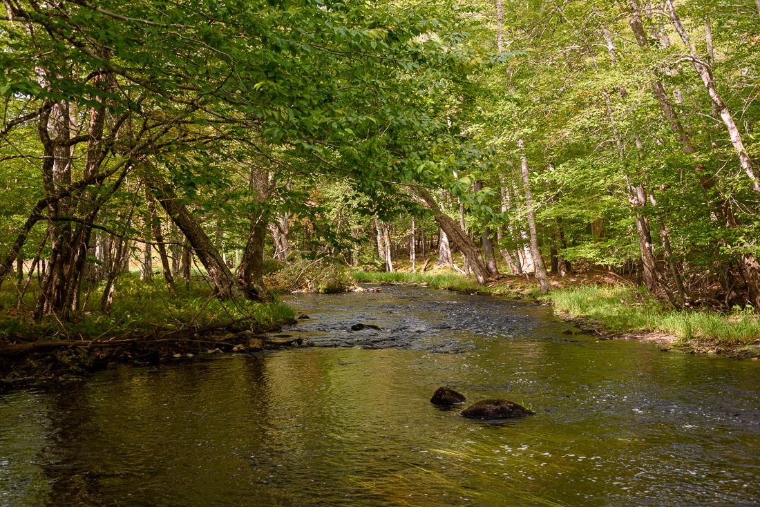 Flowing to bigger areas