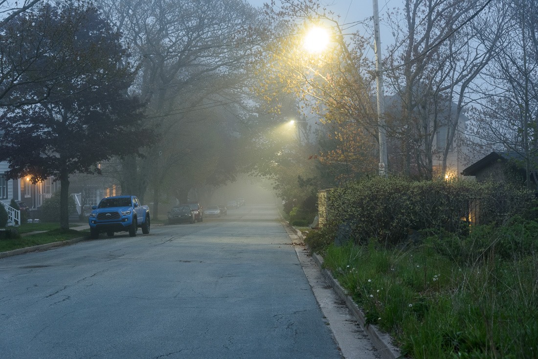 Foggy street in the evening