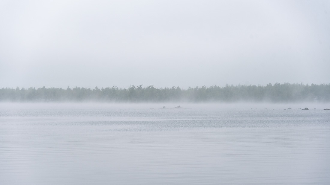 The fog at work