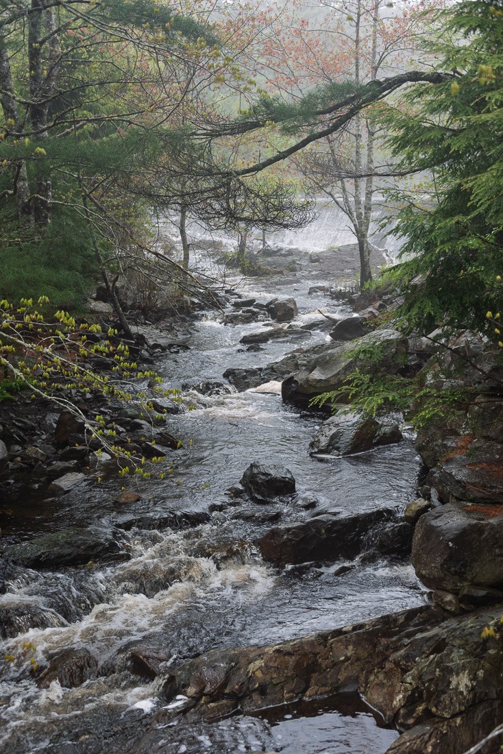 Herring Cove Lake