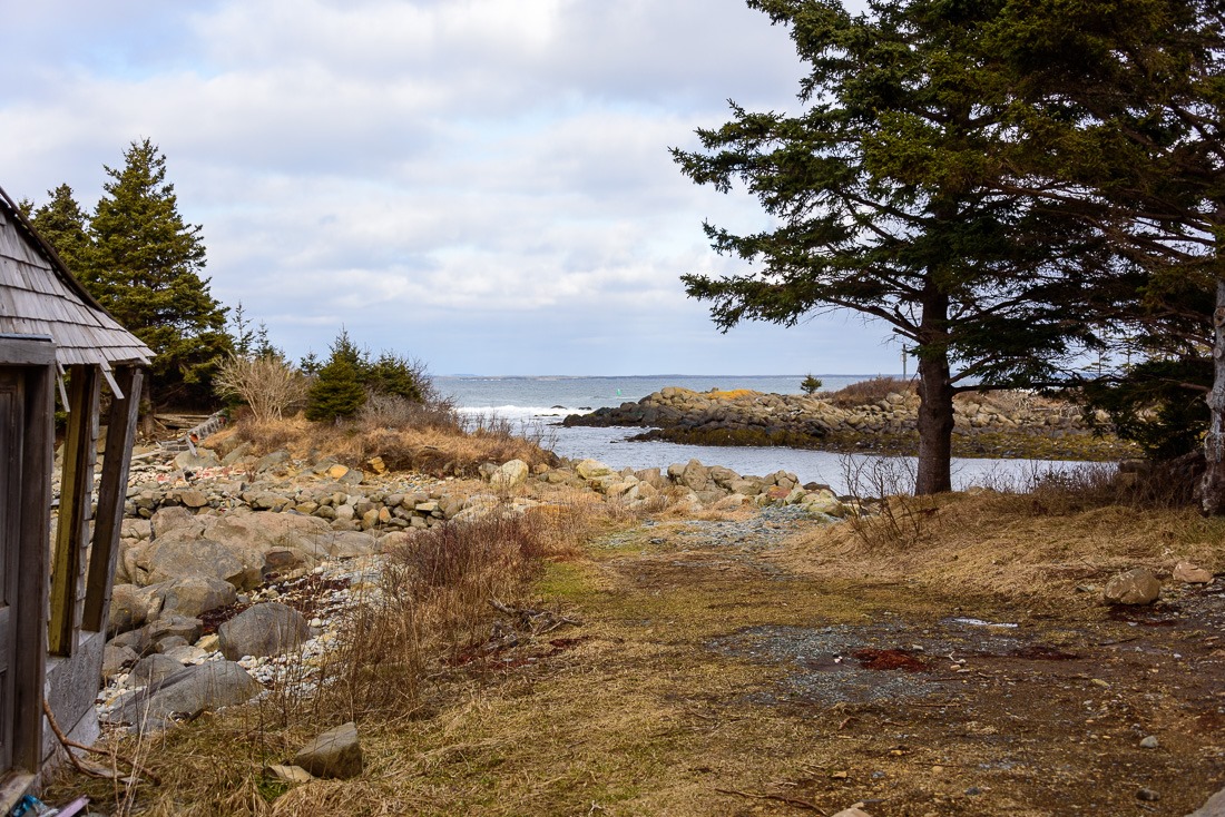 Little Harbour in Back Cove