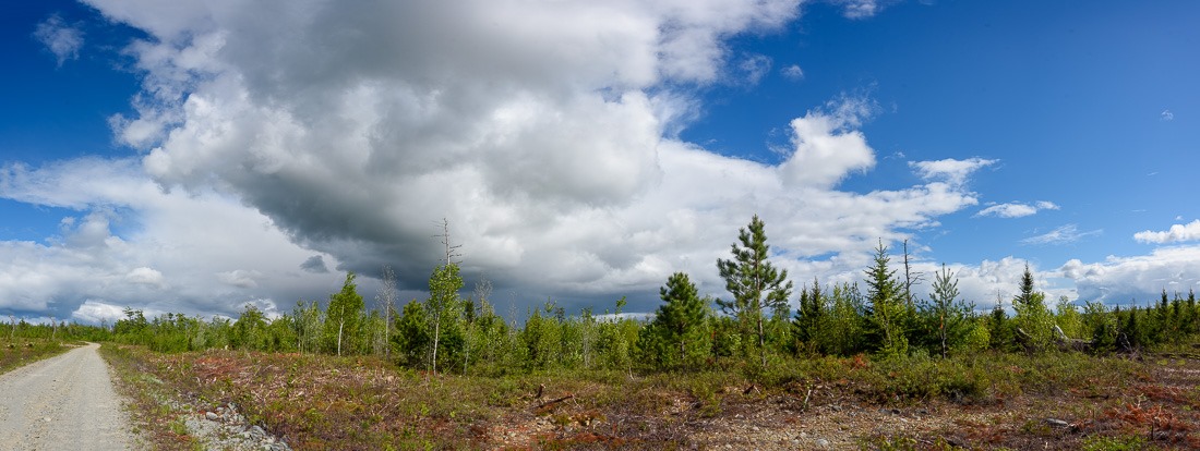 Nova Scotia wilderness