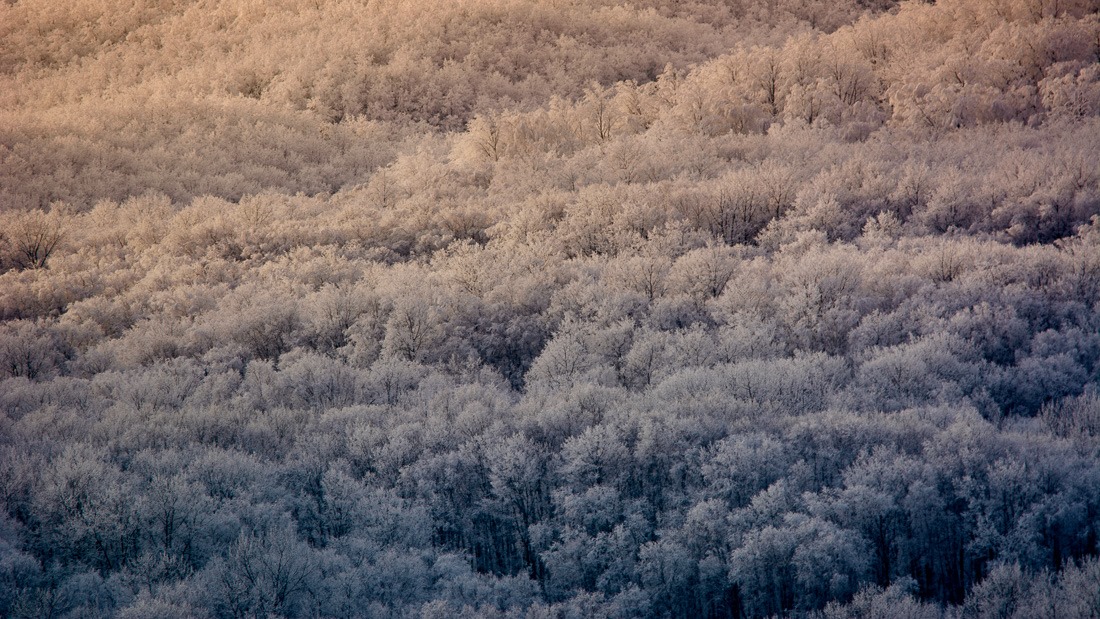 Duck Mountains