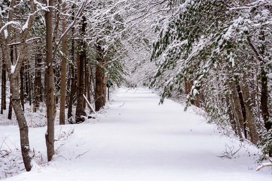 Snow on the trail