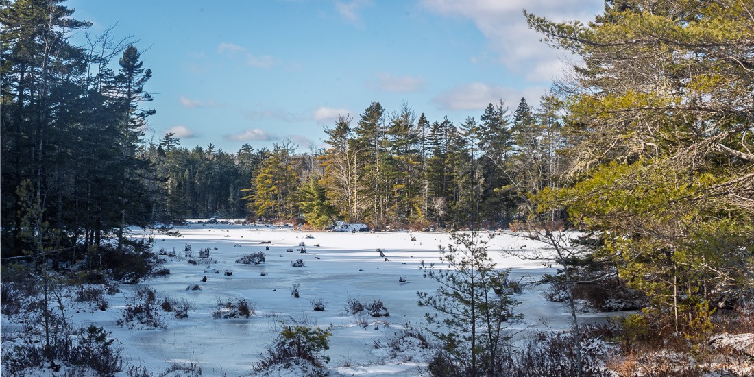 Beautiful – in winter